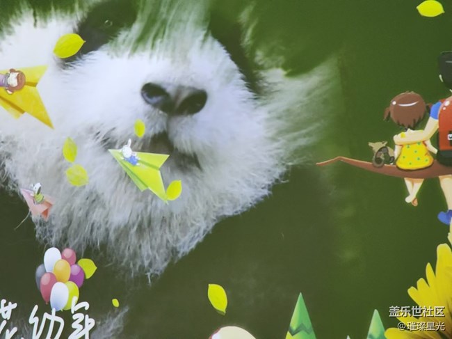 【捕捉初夏之美】熊貓花花的快樂童年