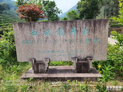 【時(shí)光留影】+ 入山