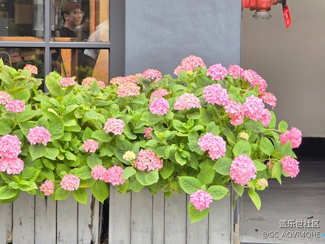 #五月的休閑時(shí)光——citywalk