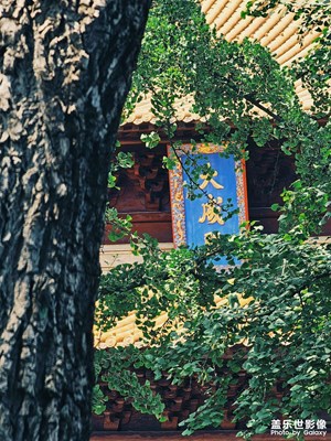 【時光留影】+ 美就留下來