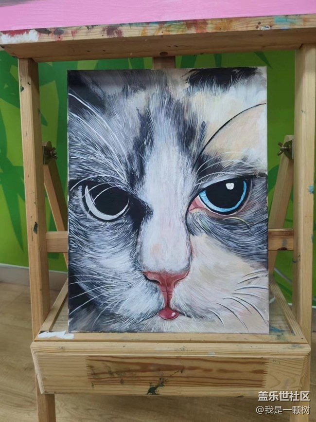 【熊貓星球光影展】+用三星手機找尋我最愛的Panda