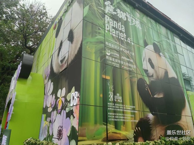 【熊貓星球光影展】+用三星手機找尋我最愛的Panda