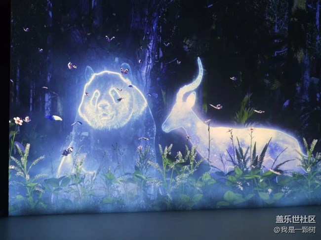 【熊貓星球光影展】+用三星手機找尋我最愛的Panda