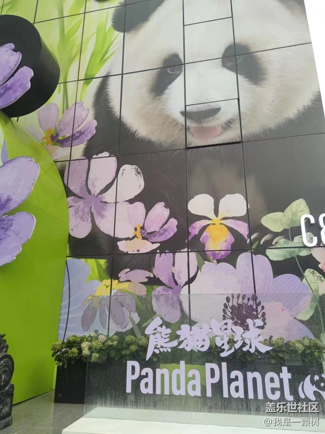 【熊貓星球光影展】+用三星手機找尋我最愛的Panda