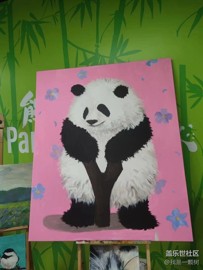 【熊貓星球光影展】+用三星手機找尋我最愛的Panda