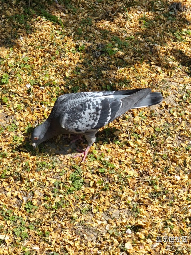 #五月的休閑時光-小動物