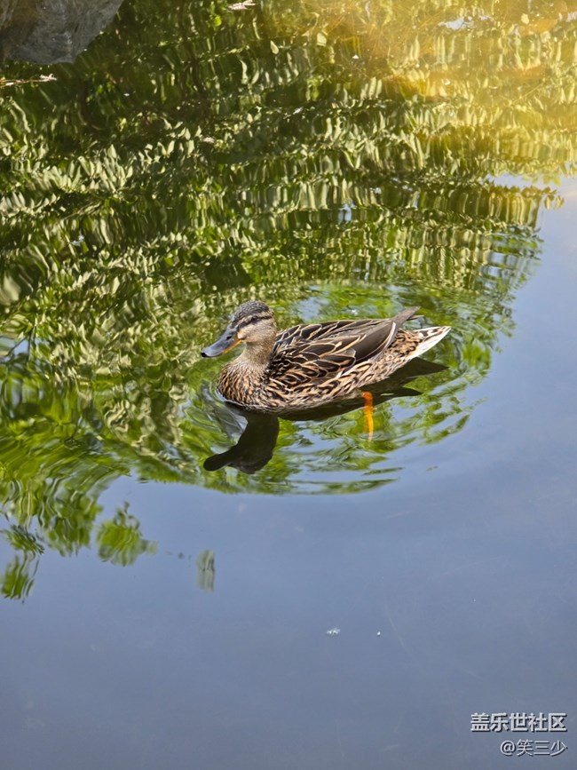 #五月的休閑時光-小動物