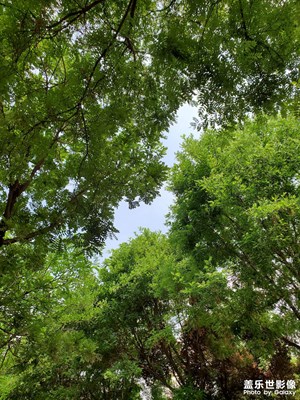 【時(shí)光留影】+ 5月末