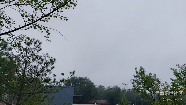 【捕捉初夏之美】雨林漫步