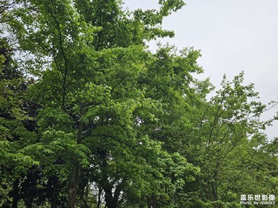 【時(shí)光留影】+?戶外景色