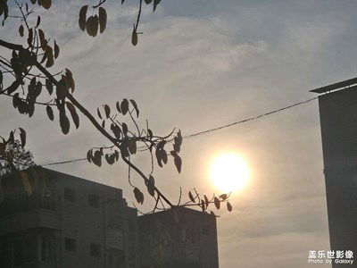 【時光留影】+?隨手拍