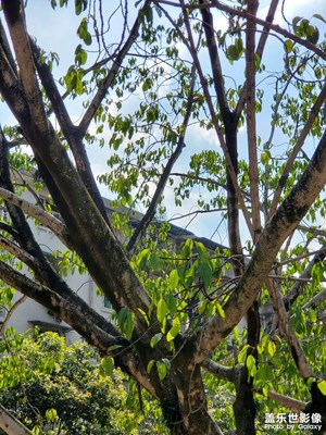 【時光留影】+看向未來