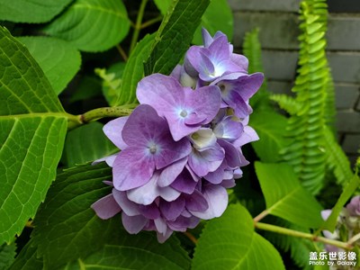 【時(shí)光留影】+記住好時(shí)光