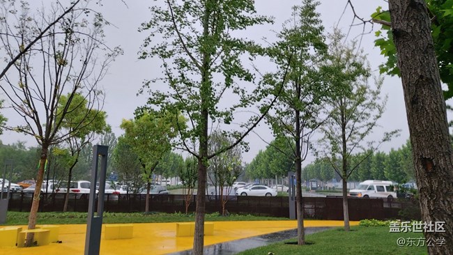 【捕捉初夏之美】雨林漫步