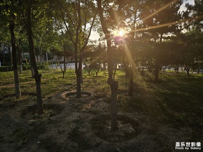 【時(shí)光留影】+?時(shí)光無(wú)限好