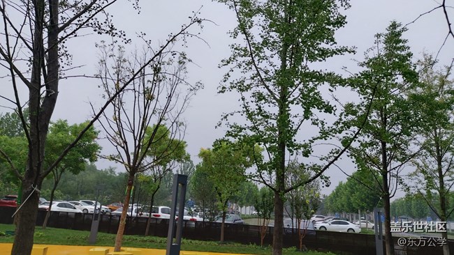 【捕捉初夏之美】雨林漫步