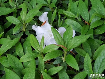 【時光留影】+?懷念好時光