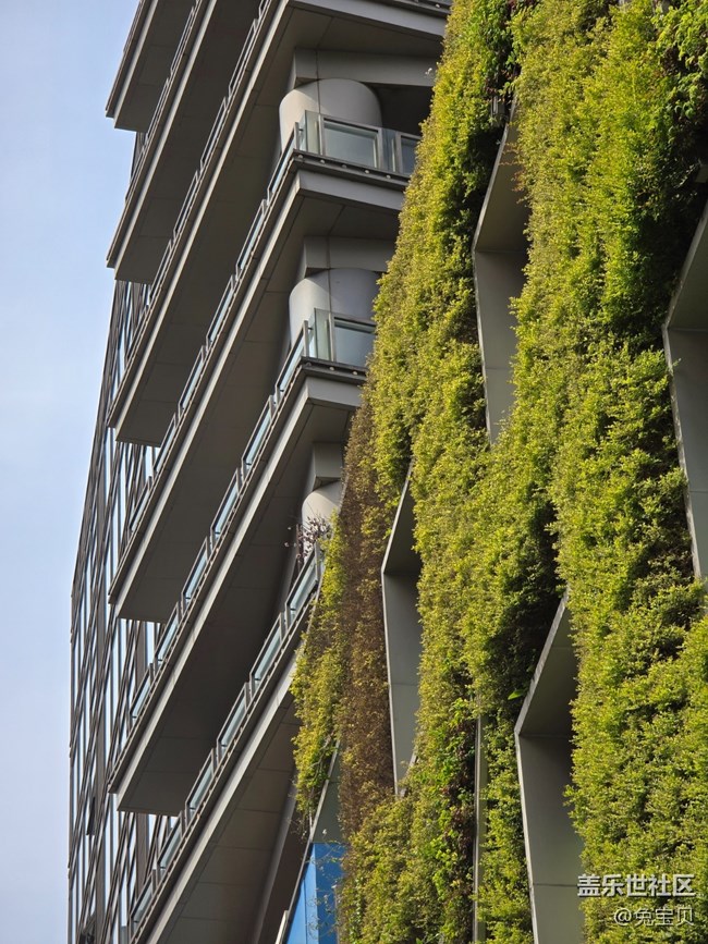 【捕捉初夏之美】+逛街