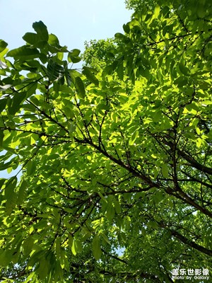 【時光留影】+老照片