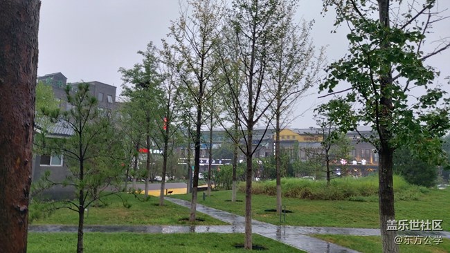 【捕捉初夏之美】雨林漫步