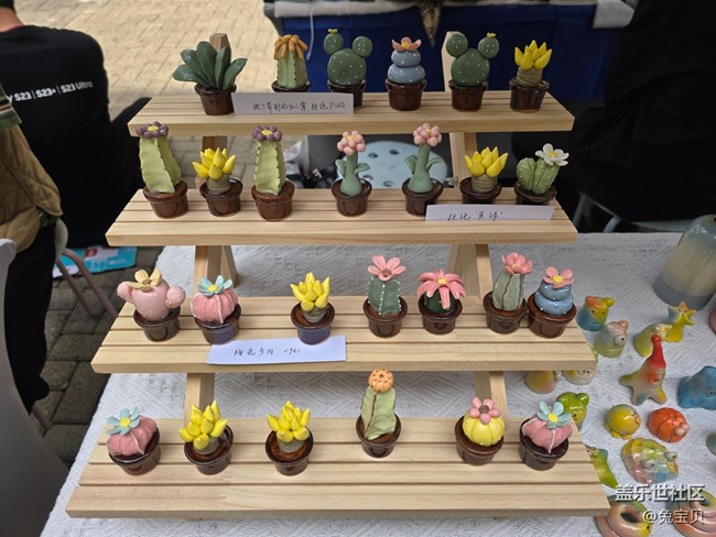 【捕捉初夏之美】+逛街