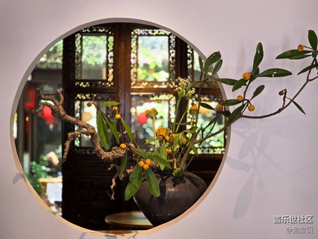 #五月的休閑時(shí)光——好心情