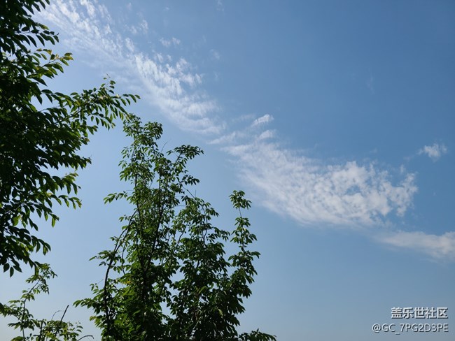 【初夏的顏色】多彩初夏