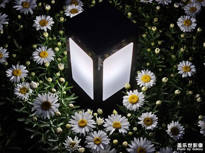 【尋光獵影】暗色光影