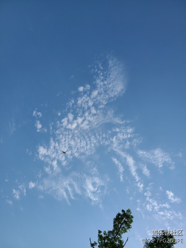 【初夏的顏色】多彩初夏