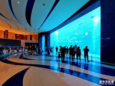 【尋光獵影】聚焦光影