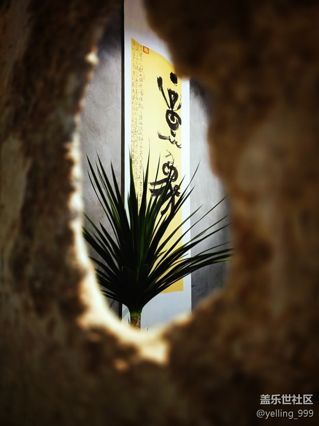 上海星部落5月25日M50創(chuàng)意園線下攝影活動回顧帖