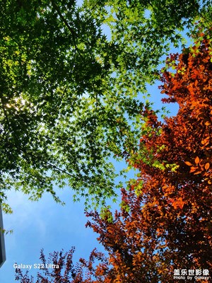 暴雨過后的晴天便是烈日炎炎