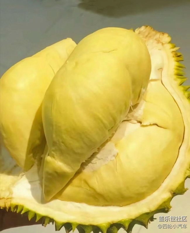 【吃心不改】榴蓮