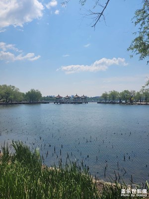 【尋光獵影】+?逛公園