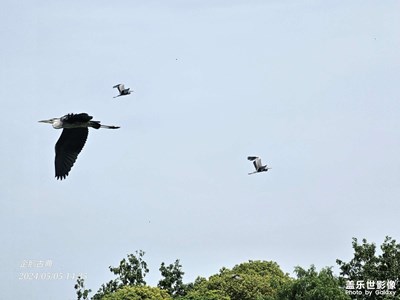 【尋光獵影】偶遇·羽蹤