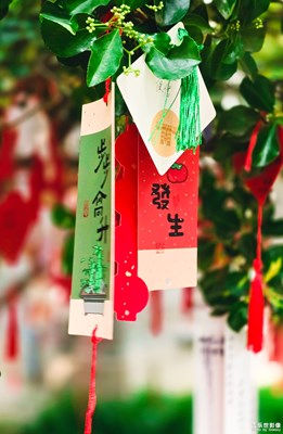 已開獎(jiǎng)【蓋樂世影像周賽第347期】——濃情端午