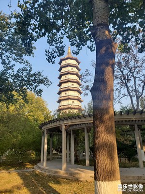 時(shí)間緊張，為了星鉆