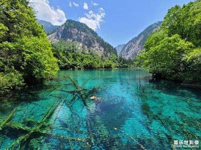 九寨歸來(lái)不看水