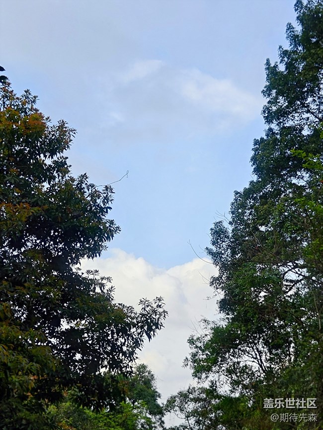 【朝朝暮暮】云卷云舒