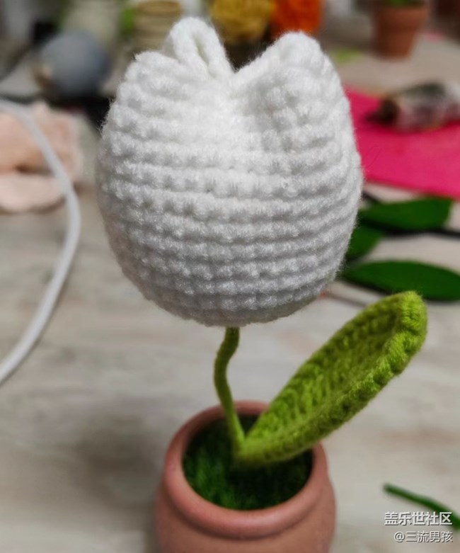 【多姿多彩的生活】編織