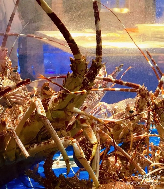 【粽香漫九州】聚餐