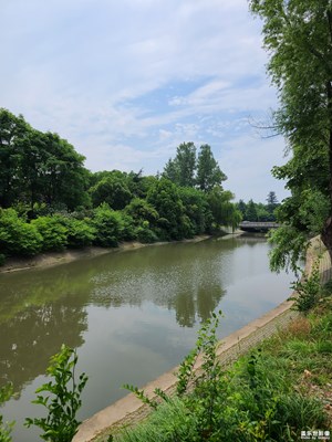 【尋光獵影】初夏