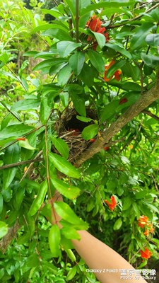 【尋光獵影】+ 清晨小逛