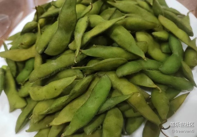 【粽香漫九州】素食