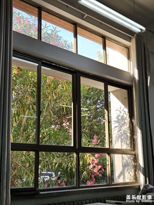 【尋光獵影】+ 日常中的光影