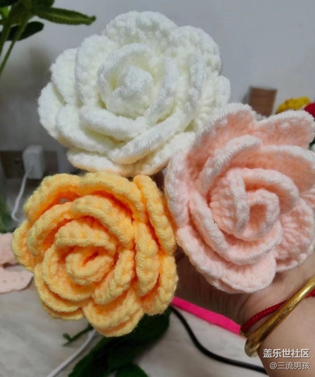 【多姿多彩的生活】編織