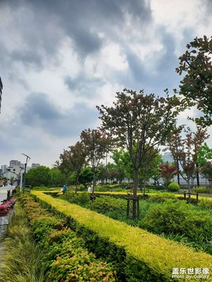 【尋光獵影】+ 周末閑逛