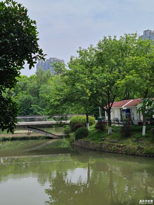 【尋光獵影】光影之間