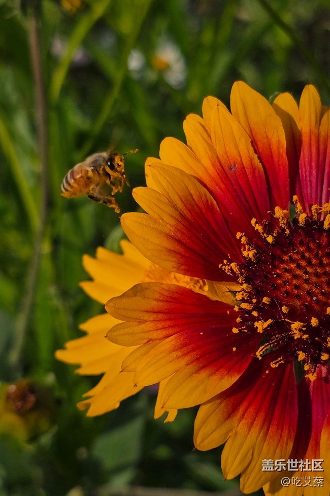 更懂你的AI+鈦金屬影像旗艦標(biāo)桿-Galaxy S24 Ultra