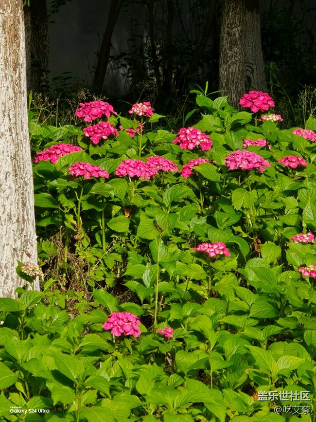 更懂你的AI+鈦金屬影像旗艦標(biāo)桿-Galaxy S24 Ultra